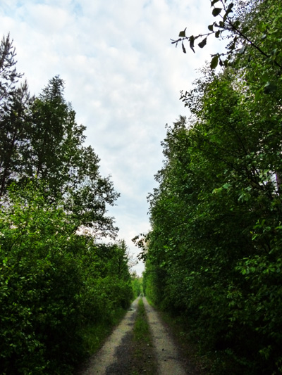  Graselova stezka, Jindřichohradecko